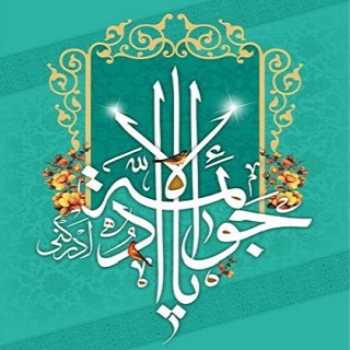 یا جوادالائمه ادرکنی.